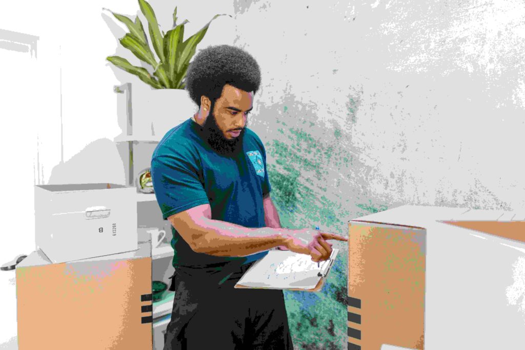 Bathroom Mold Removal Tips That Actually Work